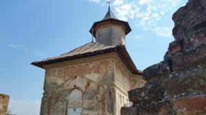 Mănăstirea Plăviceni